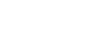 DSC